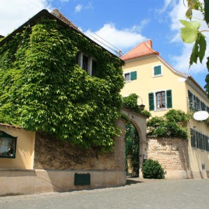 Alternative view of 2022 UNGEHEUER Forst Riesling trocken GROSSE LAGE