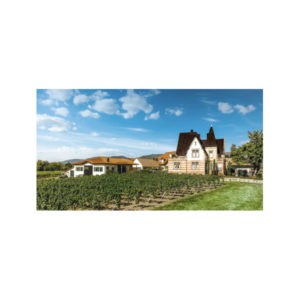 Alternative view of Riesling, trocken, 2023
