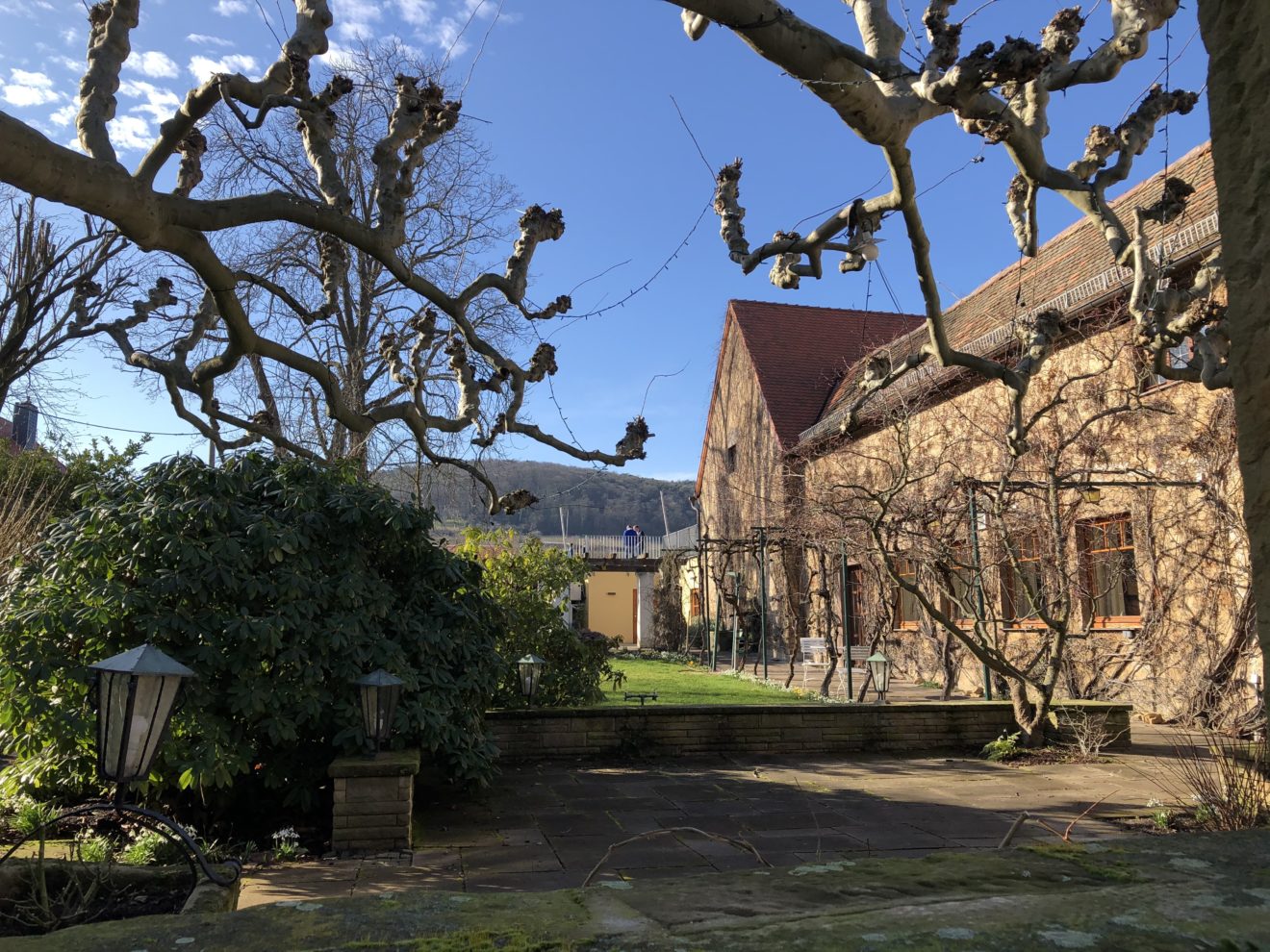 #Wie im Garten Eden - einstueckpfalz.de - Onlineshop für Produkte aus