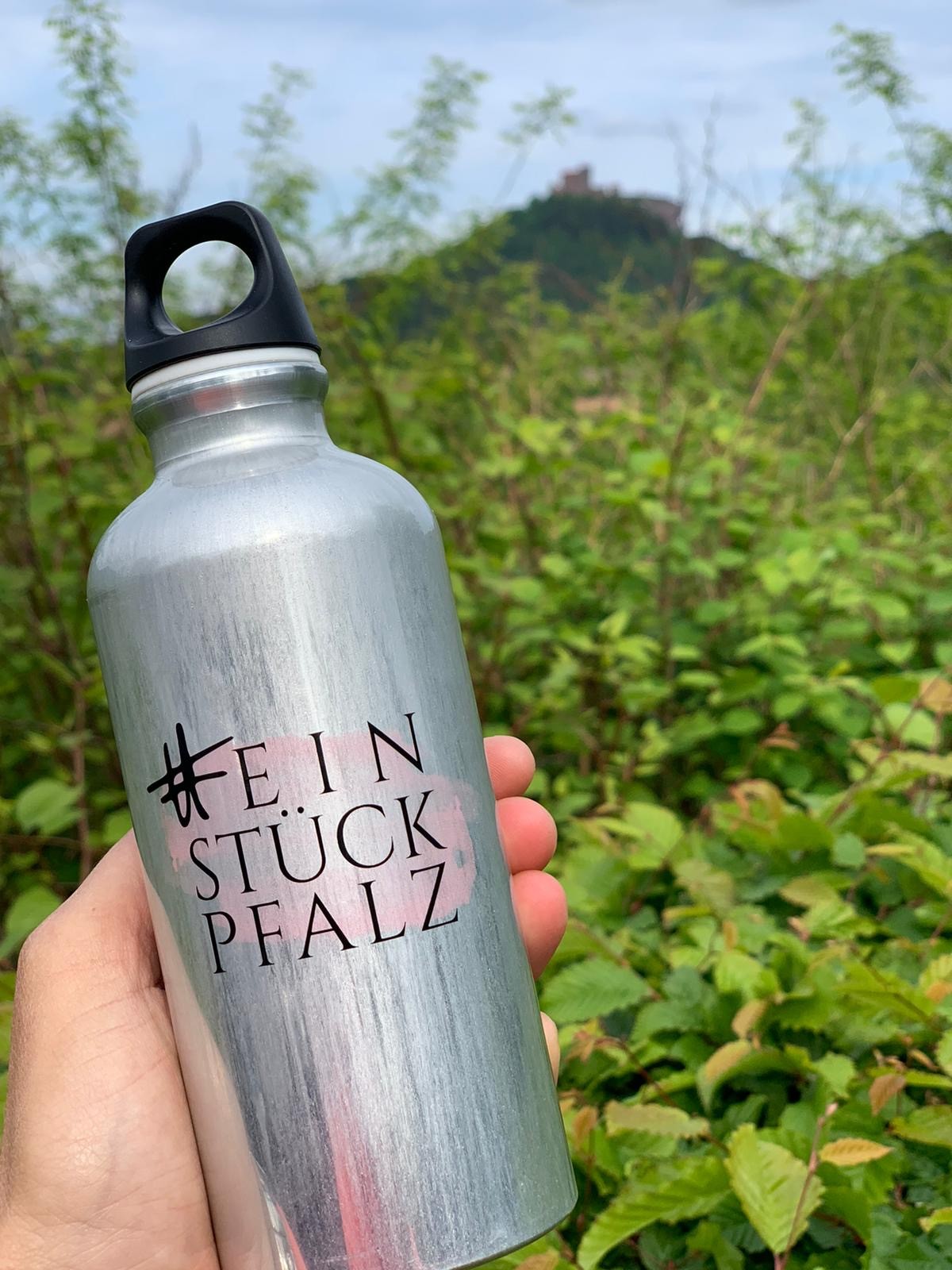 einstückpfalz-Trinkflasche von SIGG -  - Onlineshop für  Produkte aus der Pfalz