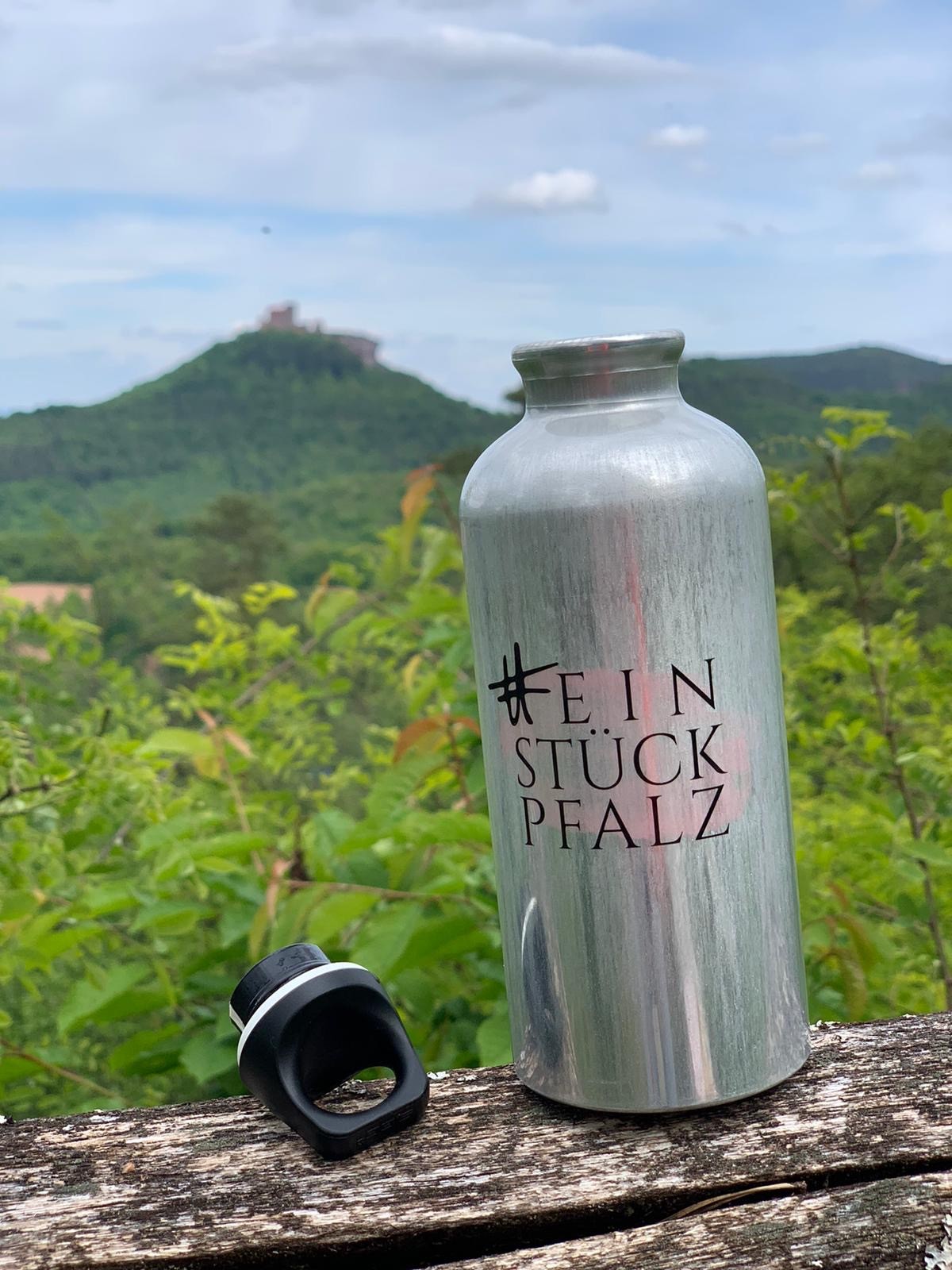 einstückpfalz-Trinkflasche von SIGG -  - Onlineshop für  Produkte aus der Pfalz