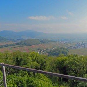 Alternative view of Wanderlust statt Alltagsfrust - Pfalzwandern